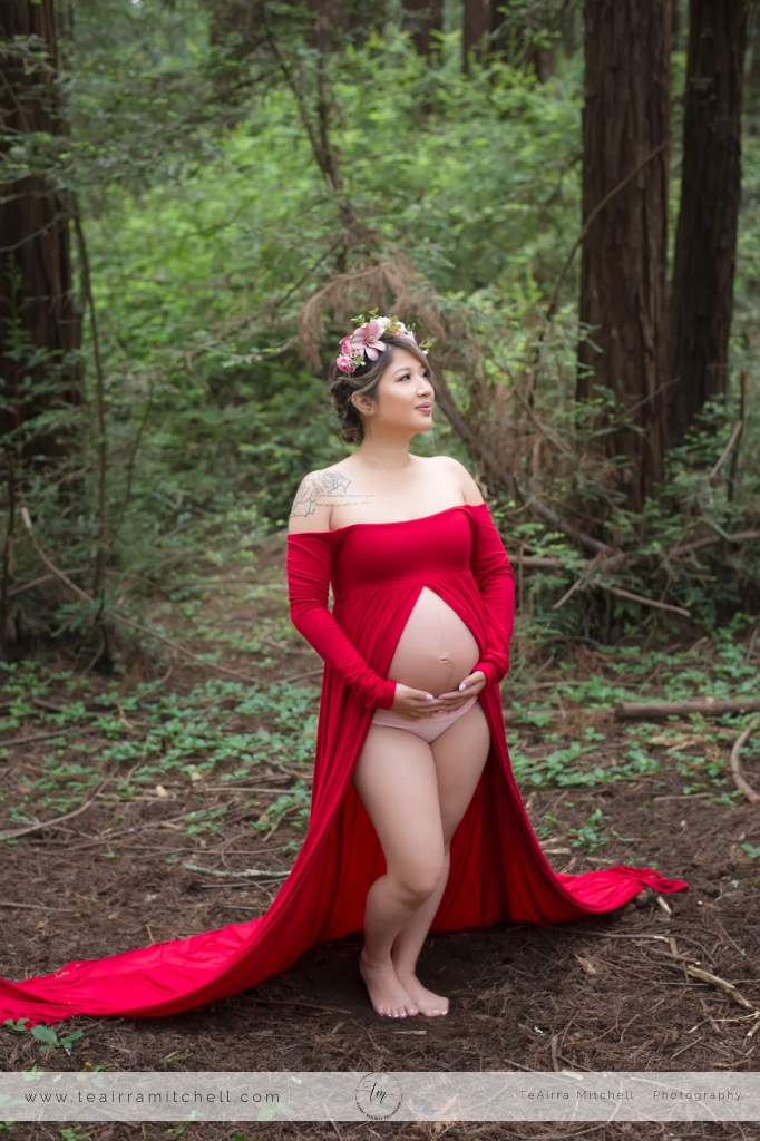 Oakland Maternity Portrait Photography by TeAirra Mitchell